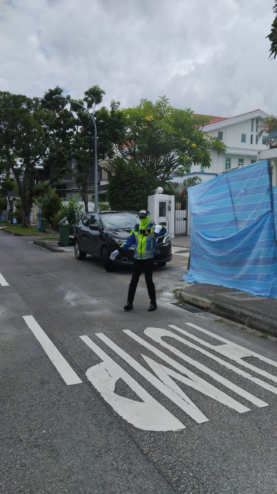 Traffic marshal